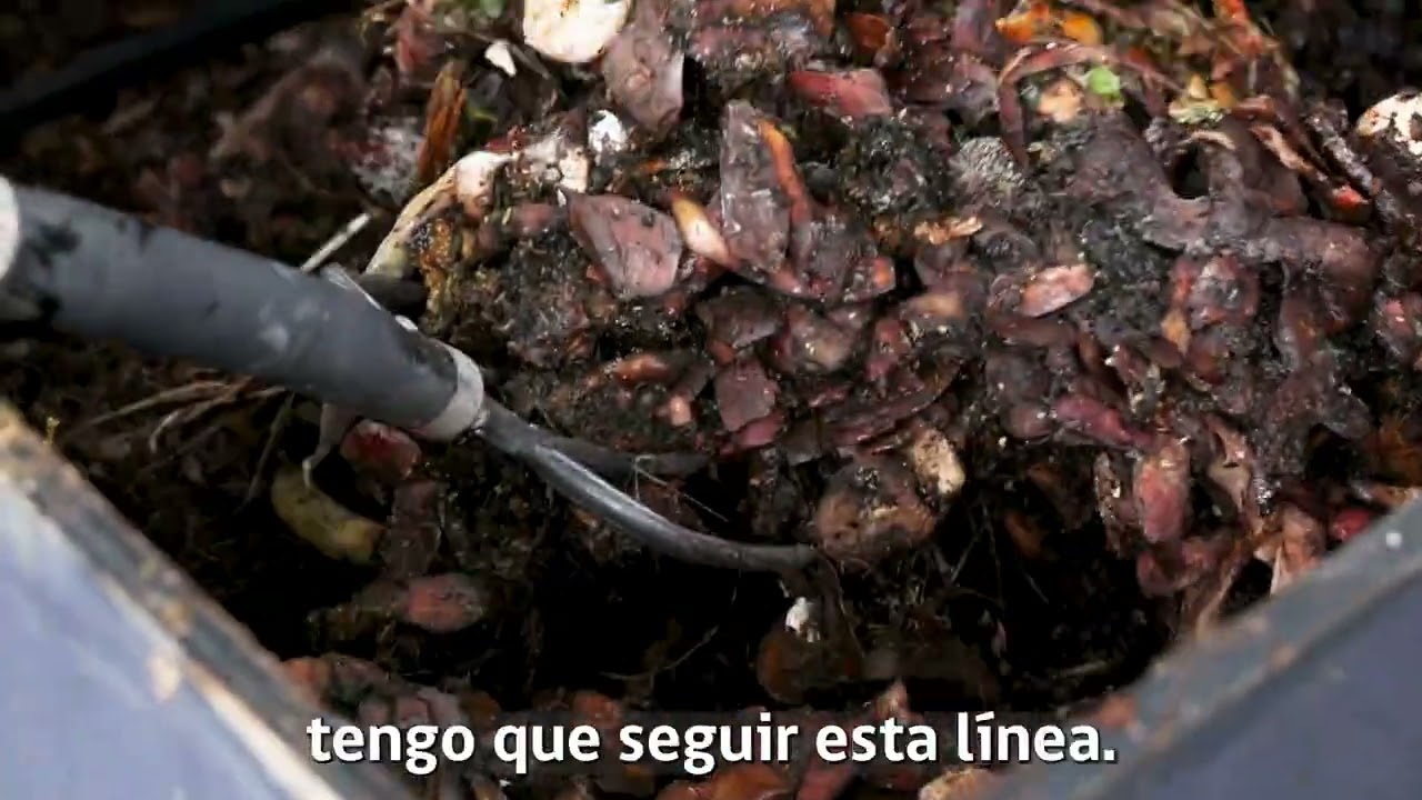 Programa TAS