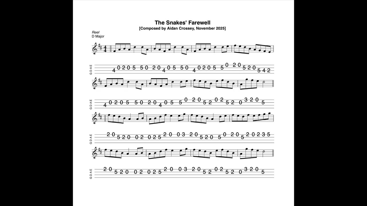 The Snakes' Farewell - a reel in D Major composed, tabbed for mandolin and played by Aidan Crossey