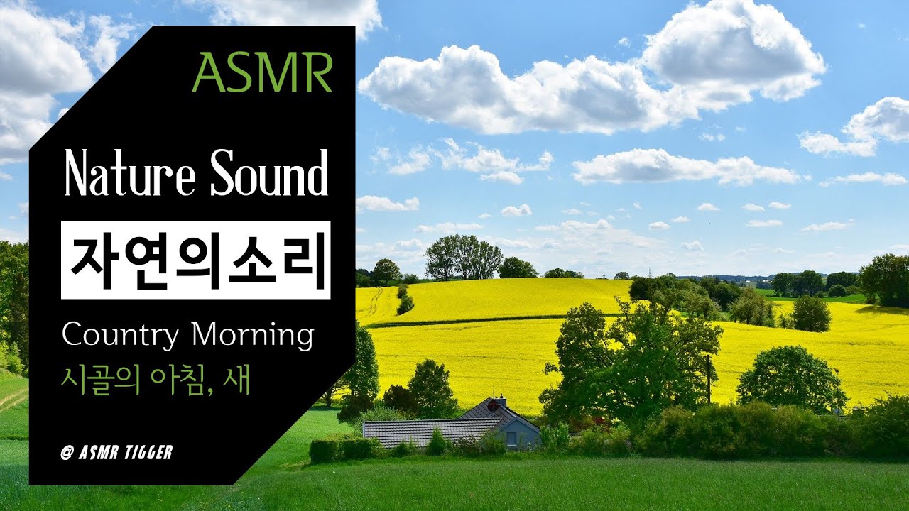 [ASMR] 시골의 아침🕊 | 할머니댁, 시골, Nature, ambience, sleeping, 자연의소리, 불면증, 입체음향, 수면, 잠잘오는소리, 백색소음