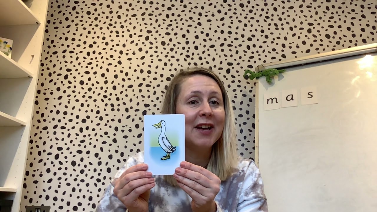 RWI Phonics: Learn and Revise the set 1 sounds 'd'