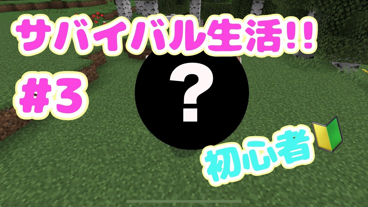 ［Minecraft］初心者🔰によるサバイバル生活！part3