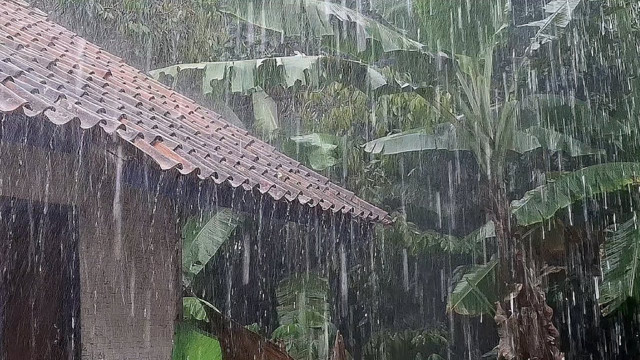 Fall asleep quickly to the sound of heavy rain. Forget anxiety and relieve stress. Relaxation