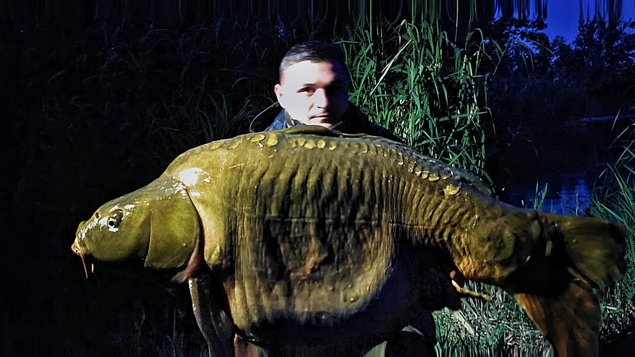 BuchtM1 Carpfishing 19-23.06.2025