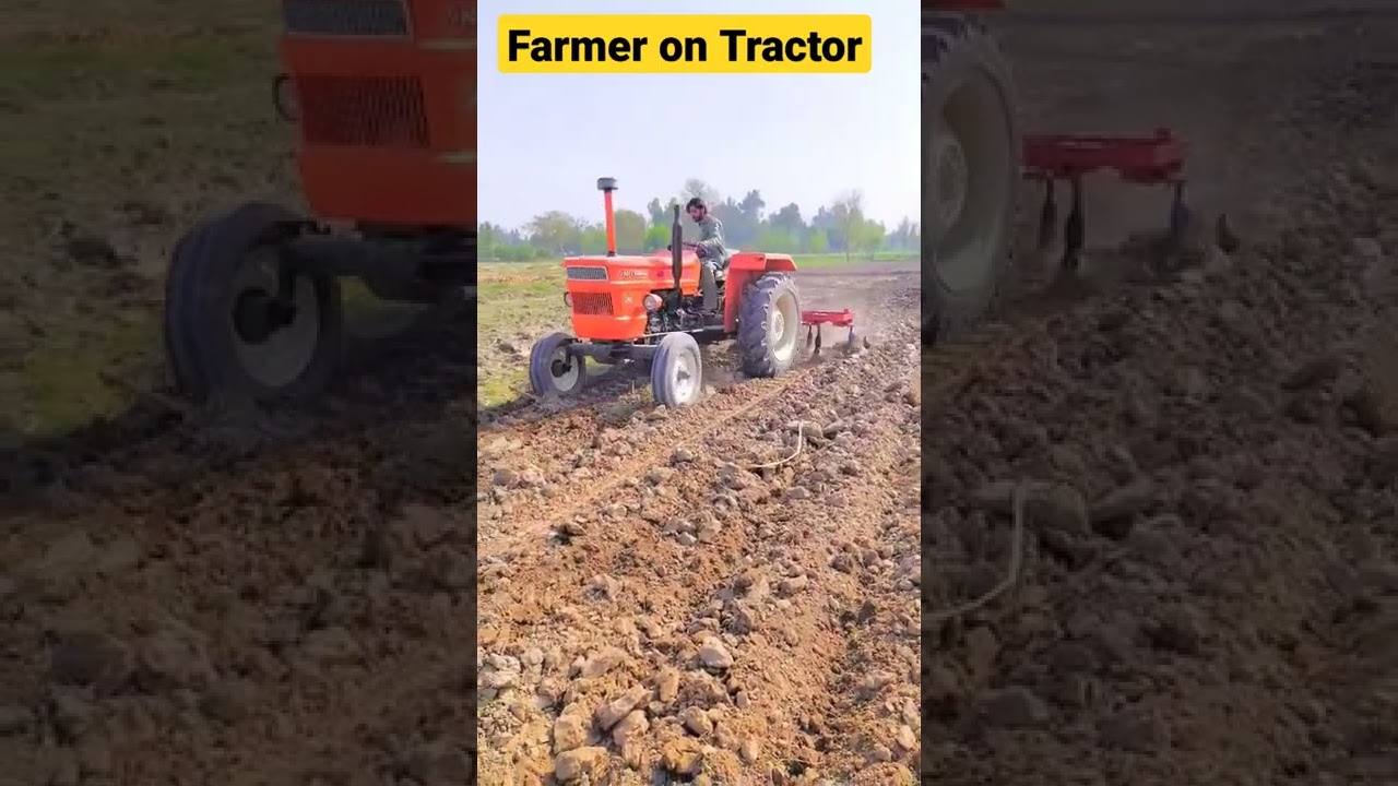 Fiat 480 Tractor Working look #shorts #fiattractor #fiat480 #tractorstunt #howtractorworks #tractor