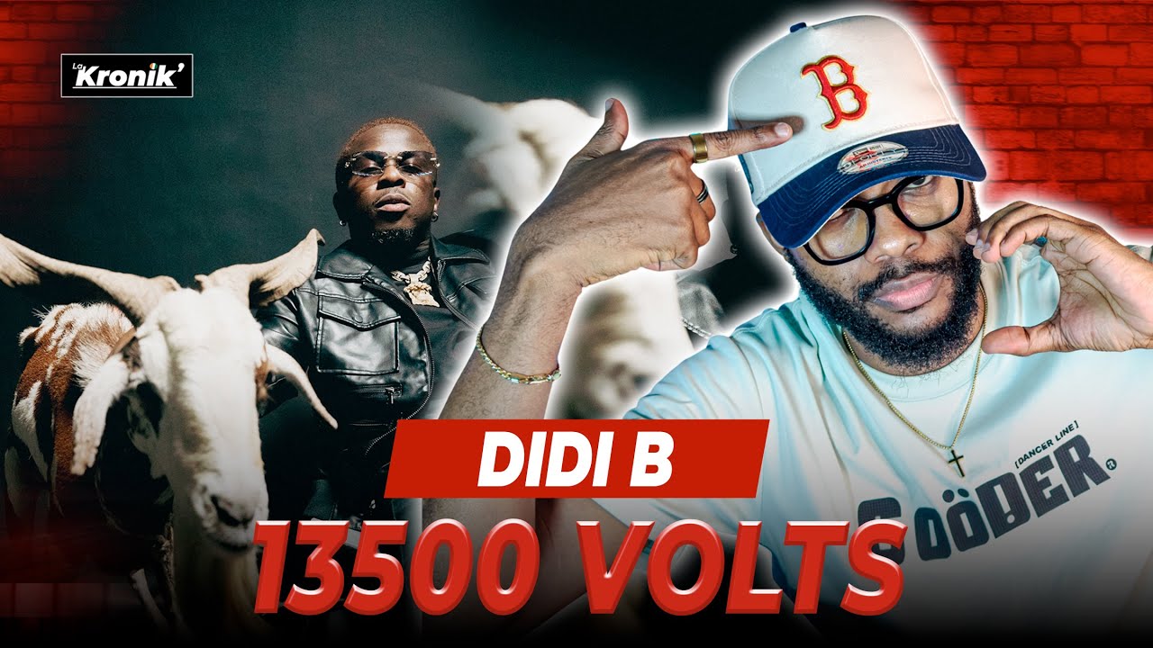 RÉACTION DIDI B - 13500 VOLTS