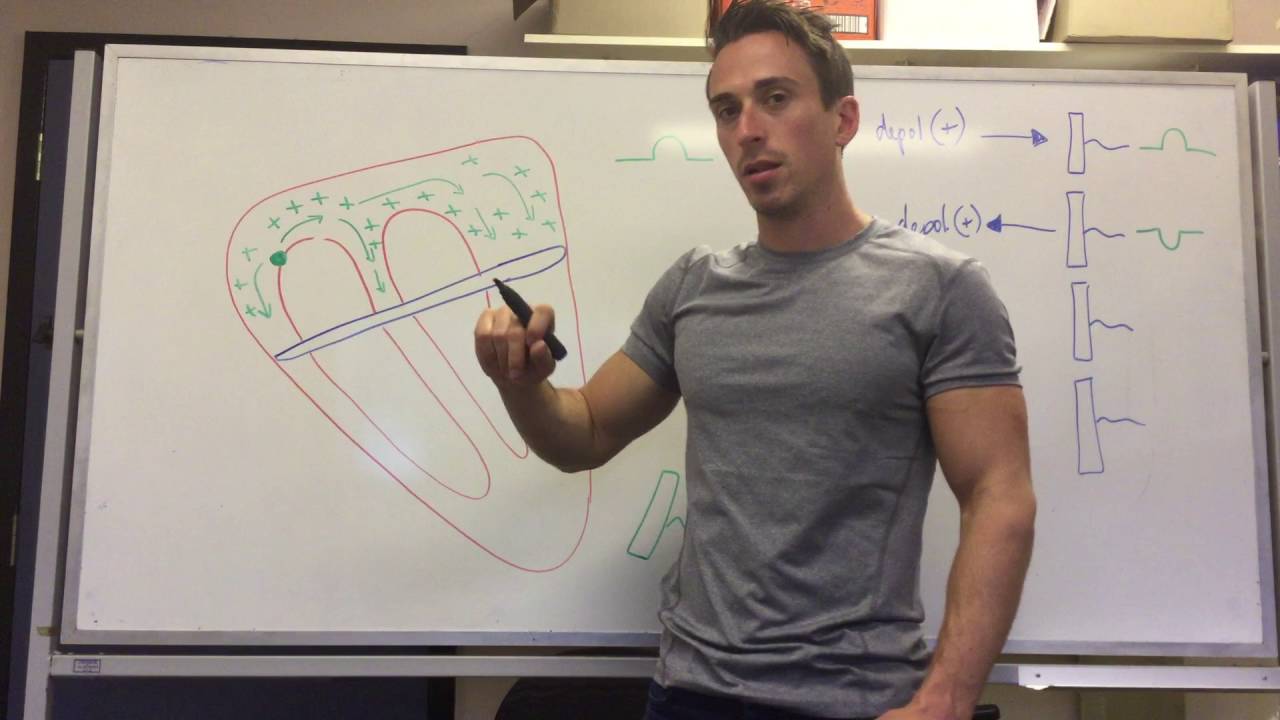 ECG measurement and interpretation