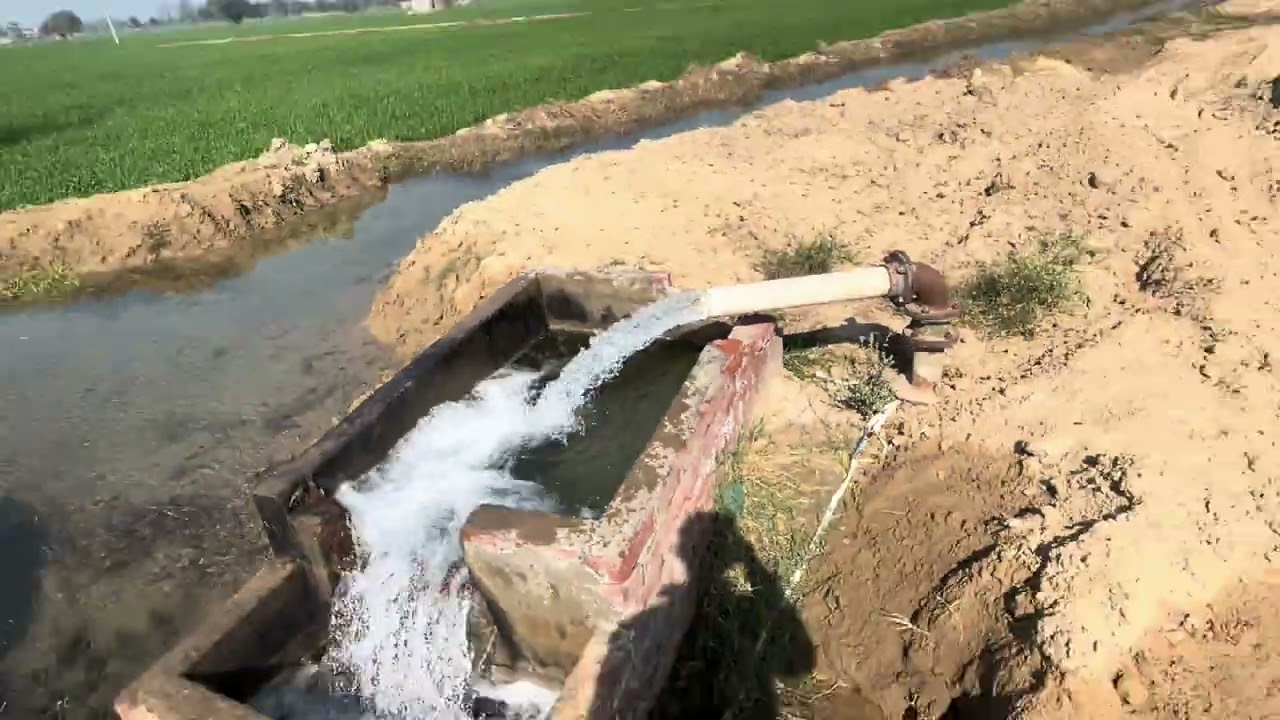 Aaj Hamari Bari Aa Gai Paani Dal Ne ki Beed Par