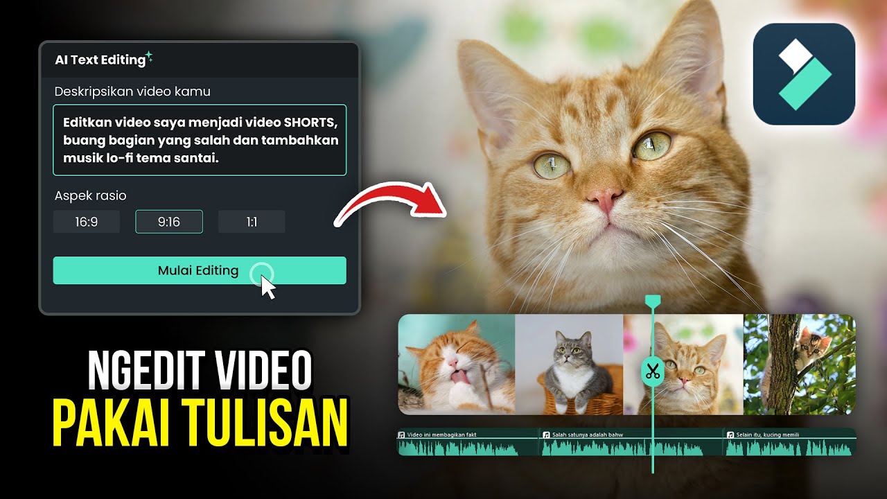 5 Fitur AI Baru di Filmora 13, Ngedit Video Jadi Makin Cepat 🏃‍♂️💨