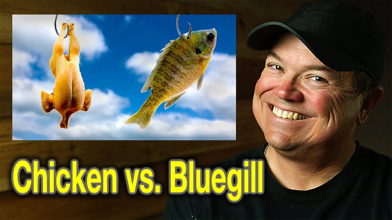 Which Catfish Bait Will Catch More