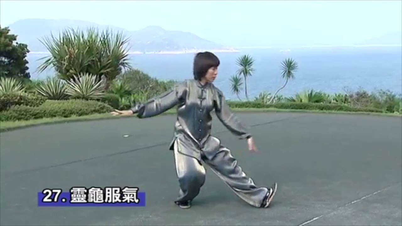 養生太極掌第三套－李暉老師