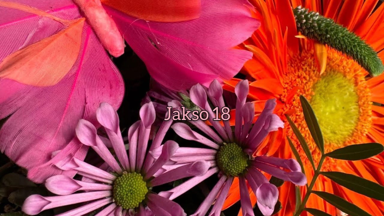 Neuleita ja ystäviä-Jakso 18🧶