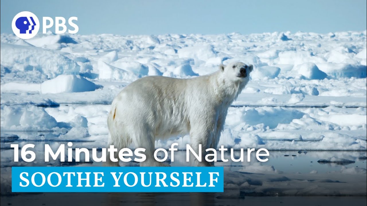 16 Minutes of Nature | Soothe Yourself