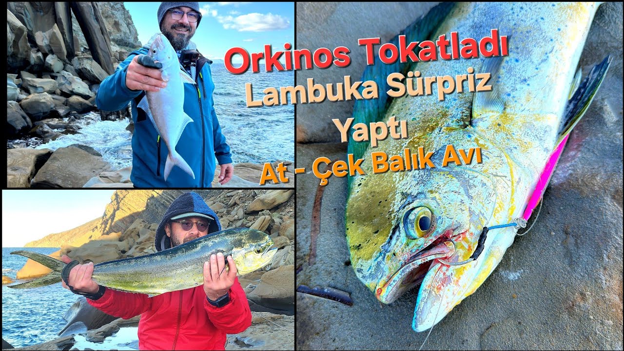 ORKİNOSTAN DAYAĞIMIZI YEDİK - KUZU TESELLİ OLDU - LAMBUKA KEYFİMİZİ GERİ GETİRDİ
