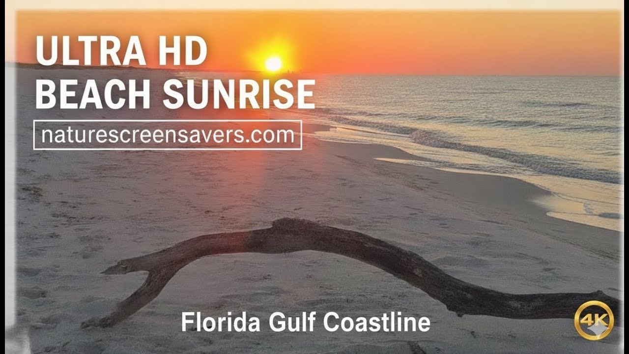 Morning Sunrise at Perdido Key Florida | Relaxing Ocean Waves & Scenic Gulf Views