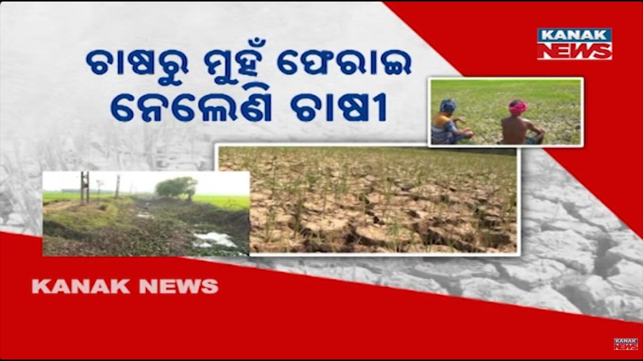 Odisha Farmers in Crisis | Paddy & Rabi Crops Struggle Amid Water & Mandi Issues | Ground Zero
