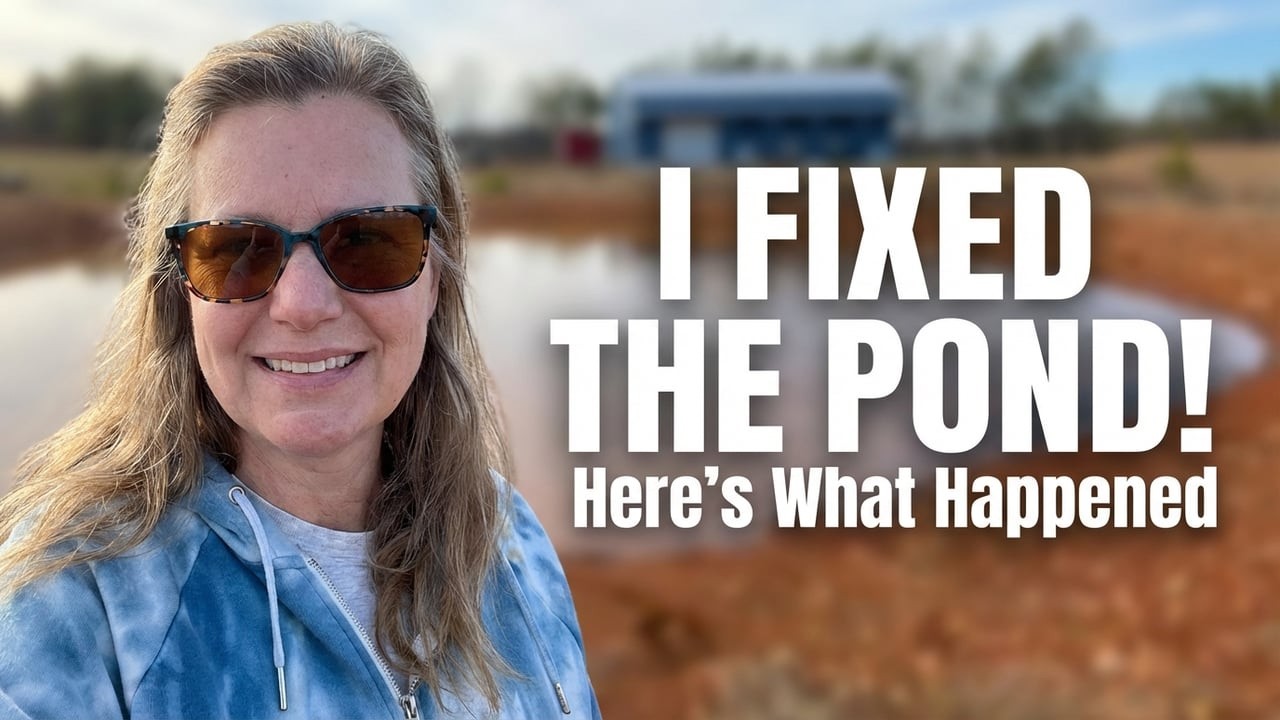 I FIXED THE POND! Here's What Happened