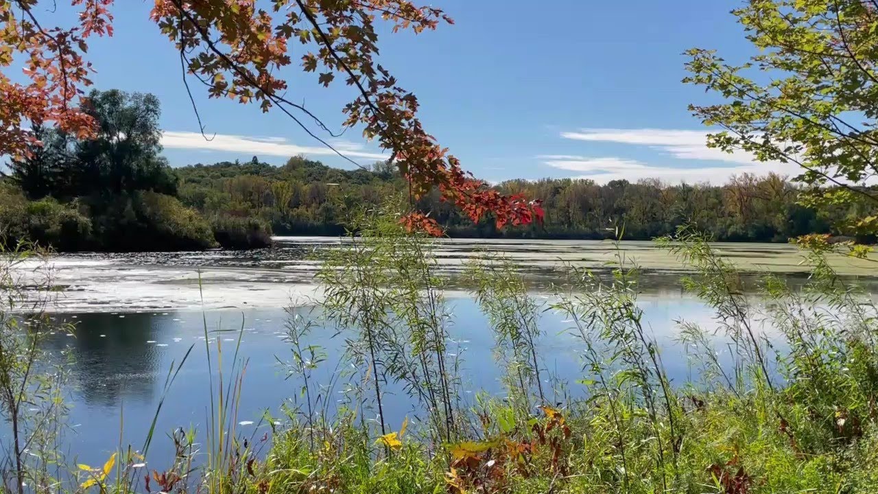 Normandale Lake