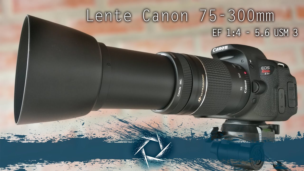 Lente Zoom Canon 75-300mm F 4- 5.6 EF USM 3