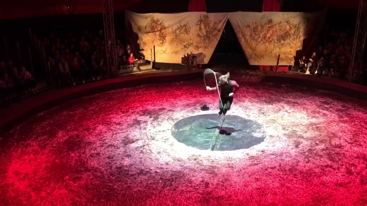 Trick roping Texas Skip