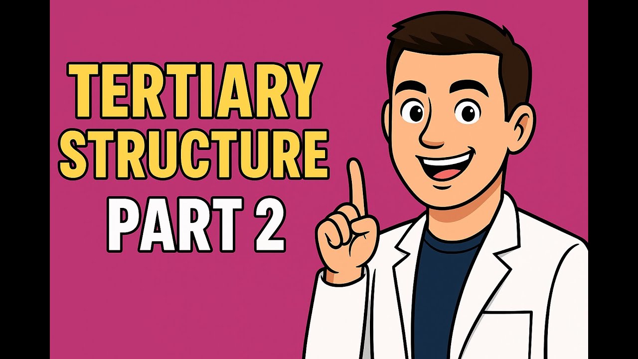 Tertiary Structure Part 2: Disulfide Bonds & Prosthetic Groups