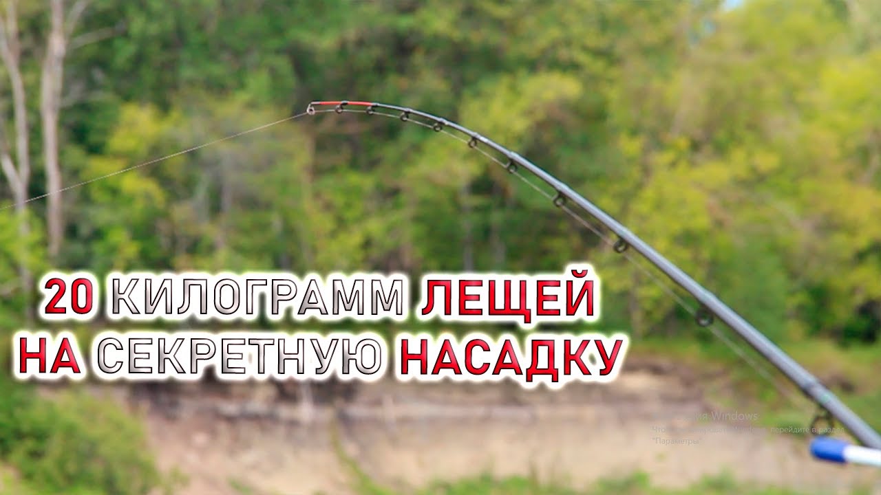 ЛУЧШАЯ РЫБАЛКА В ЖИЗНИ НА ФИДЕР! ЛЕЩ КЛЮЁТ в августе 2025 (1 часть)