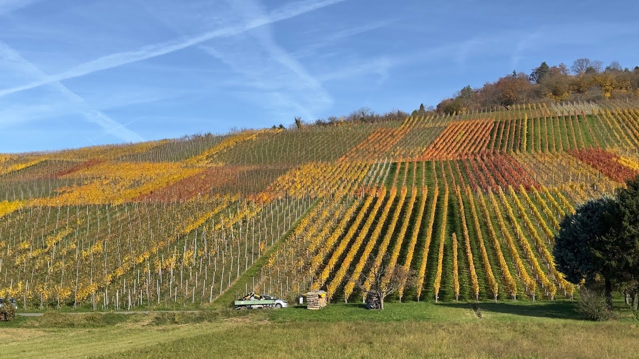 Spätherbstliche Tour zur Burg Hohenneuffen
