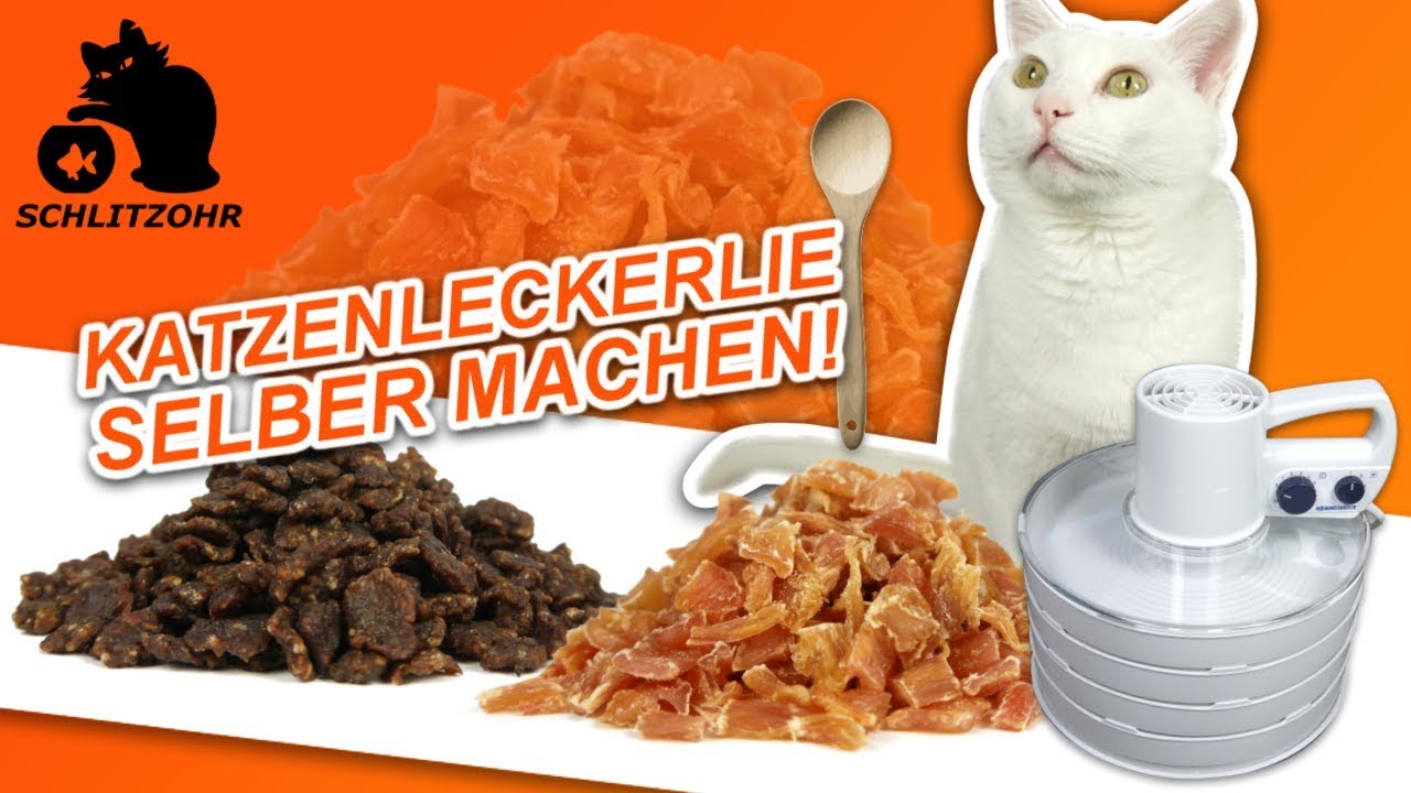 🔥Katzenleckerlie selber machen | Dörrfleisch | Dörrautomat | Rommelsbacher DA 750
