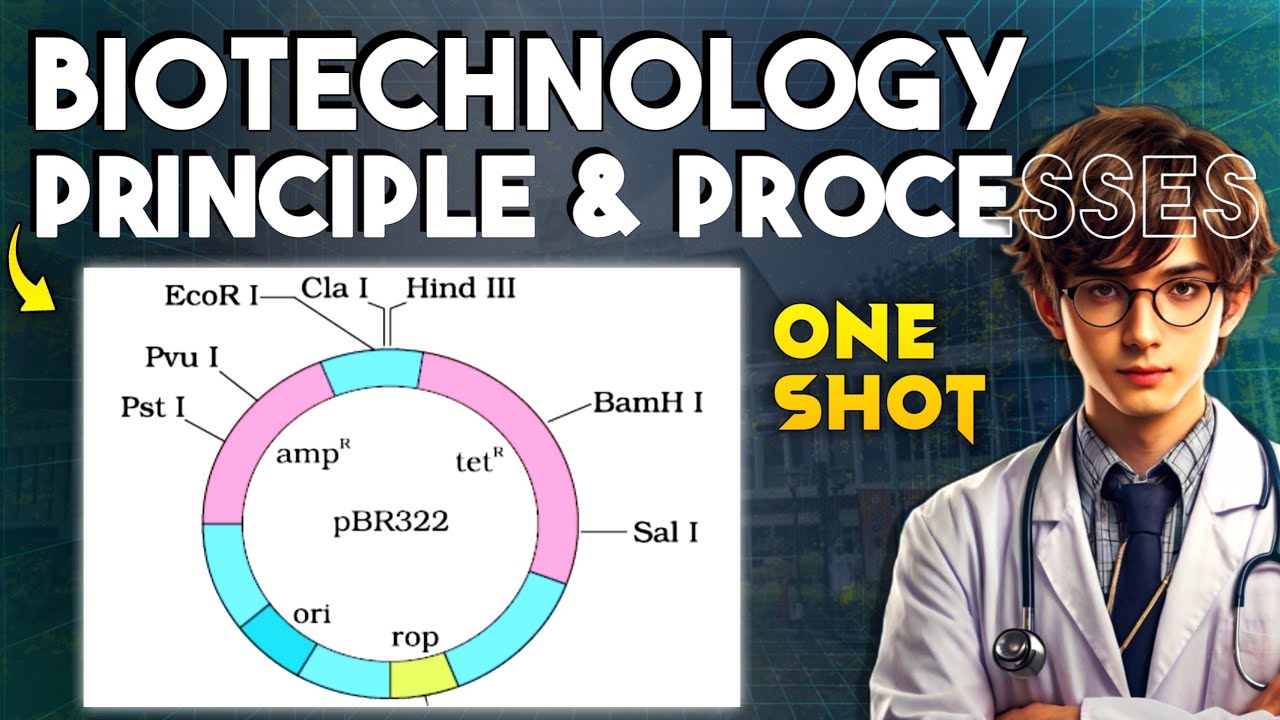 Complete BIOTECHNOLOGY PRINCIPLES AND PROCESSES in One Video | Class 12 Biology One Shot NEET 2025