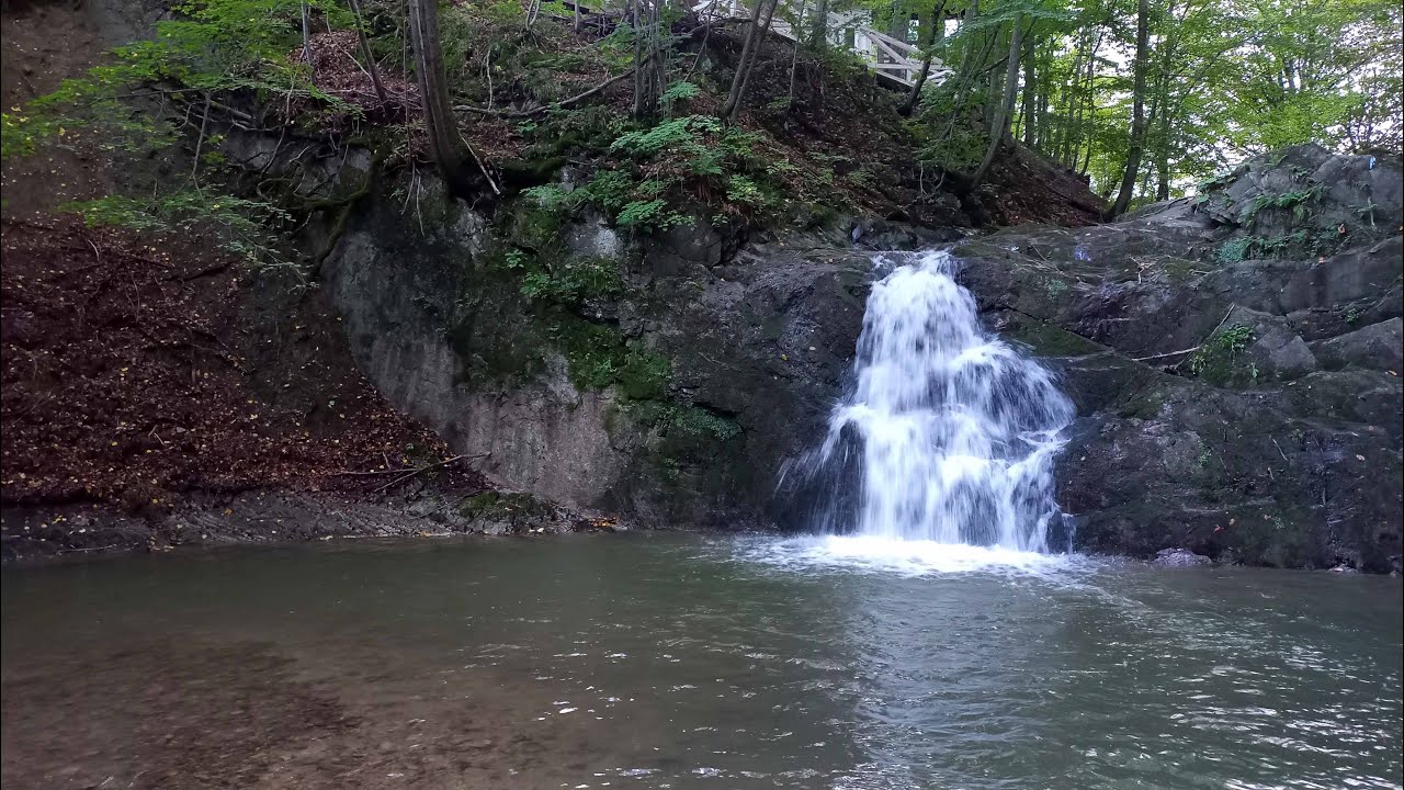 Шешори. Шалені вихідні.