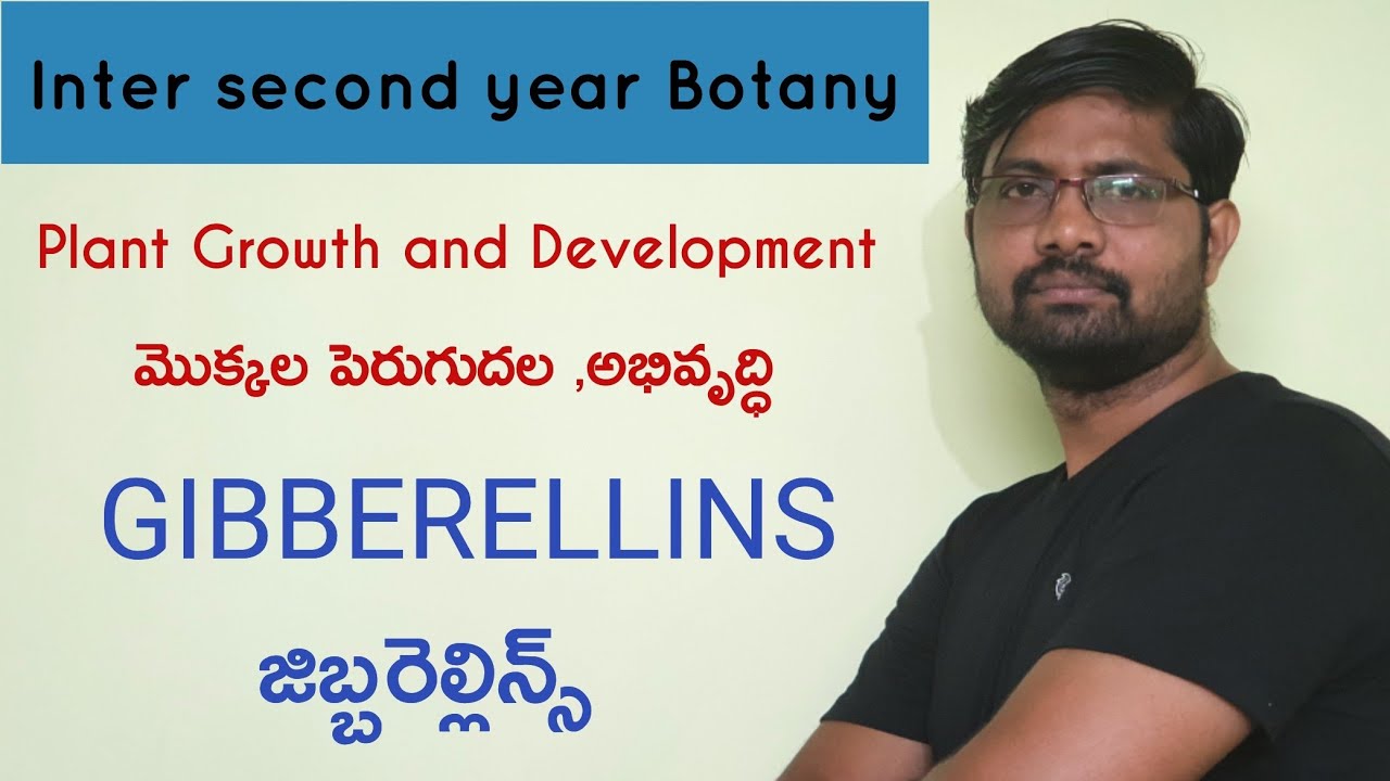 Gibberellins Physiological Responses | జిబ్బరెల్లిన్స్  Plant Growth and Development | Sr Botany
