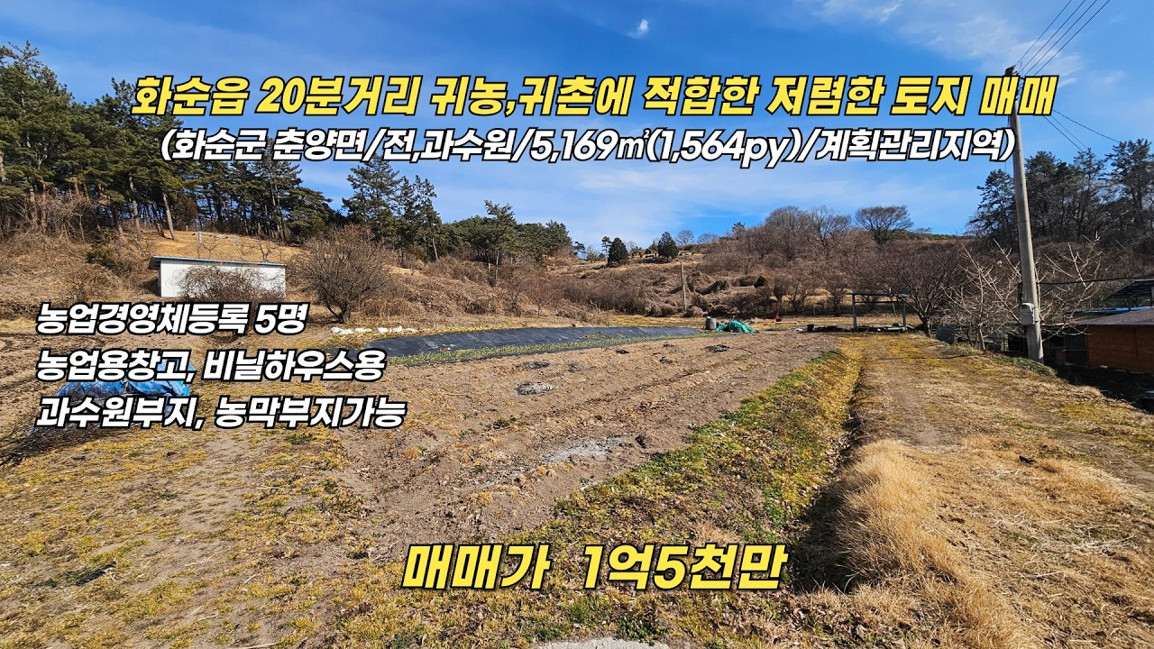 화순읍20분거리 귀농,귀촌에 적합한 토지 매매/화순군춘양면/과수원,전/1,564py/계획관리지역/매매가 1억5천만/화순부동산/화순공인중개사/화순토지/화순전답/화순비닐하우스부지/