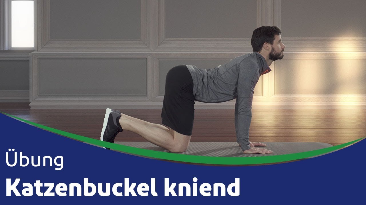 Katzenbuckel kniend - Übung