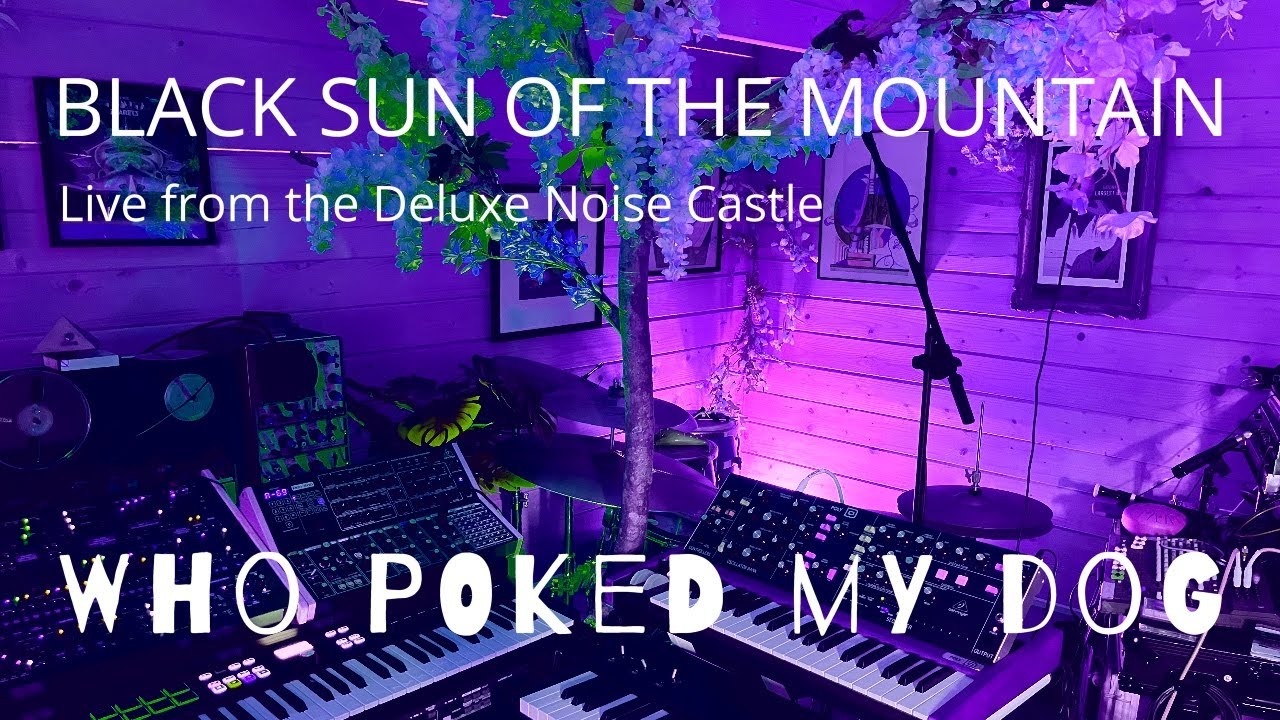 Black Sun of the Mountain // Live from the Deluxe Noise Castle - Who Poked My Dog