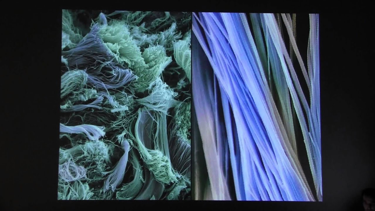 Achim Menges - Staedelschule Architecture Class (SAC) Lecture Series - May, 2014