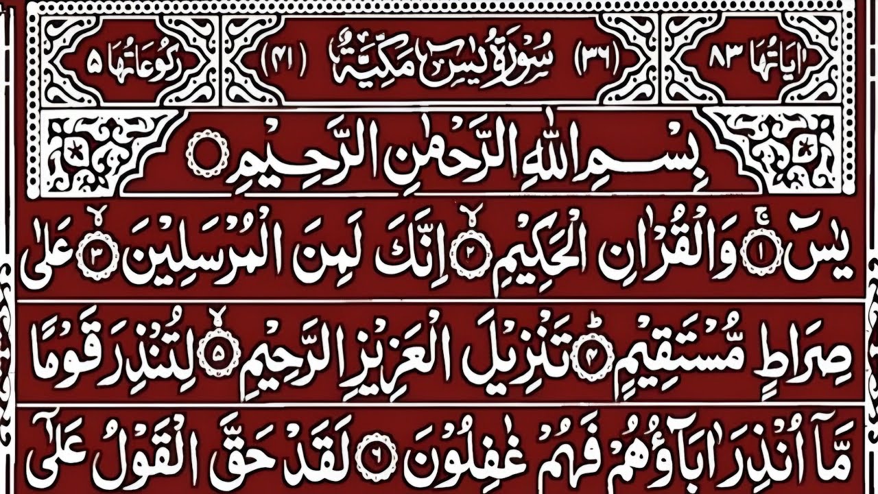 🔴LIVE Surah Yaseen || 📖🕌Qur'an Recitation || Surah Rahman || Surah Yasin full || Best Quran Tilawat 