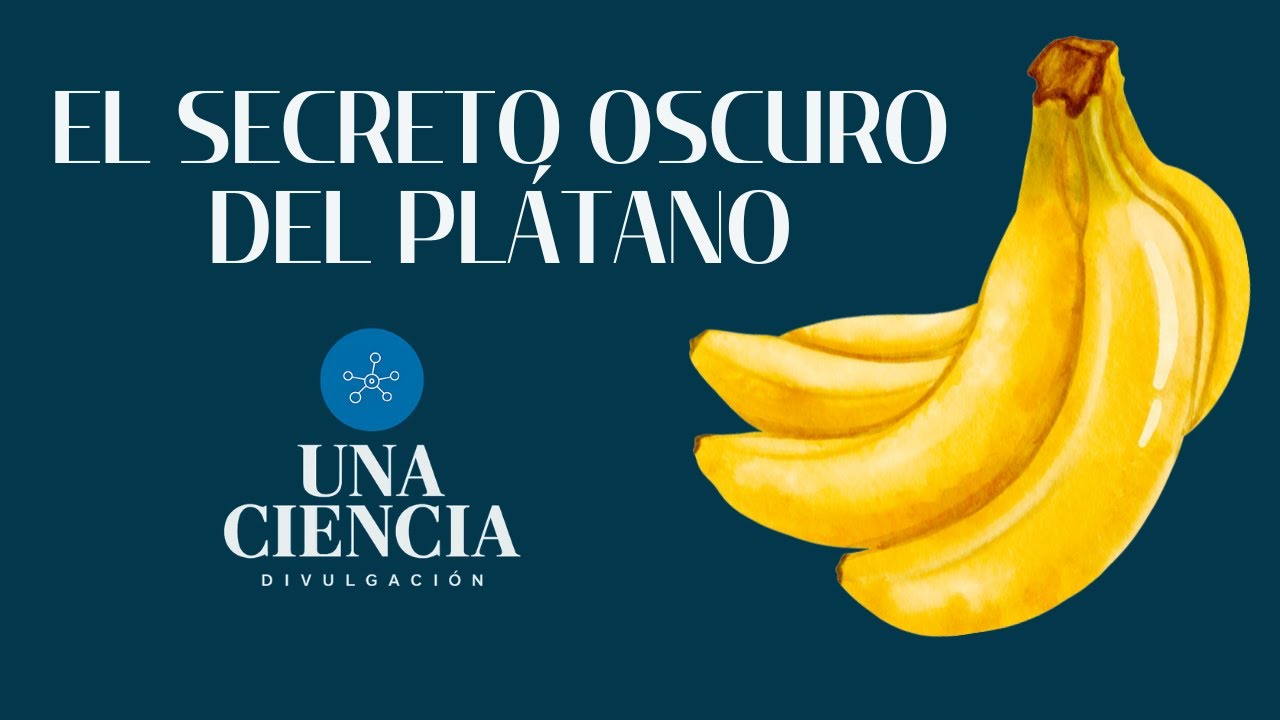 EL SECRETO OSCURO DEL PLÁTANO | UNA VOZ, UNA CIENCIA