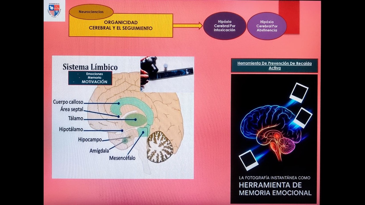 ORGANICIDAD CEREBRAL Y SEGUIMIENTO COMO PREVENCIÓN DE RECAÍDAS EN LAS ADICCIONES.