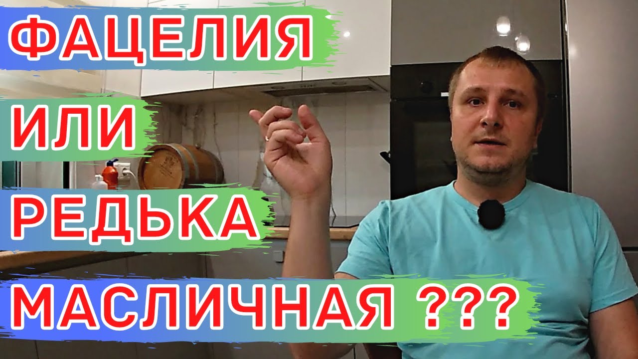Культуры, РАЗУПЛОТНЯЮЩИЕ ПОЧВУ! Как Выбрать. Горчица, фацелия и редька масличная.