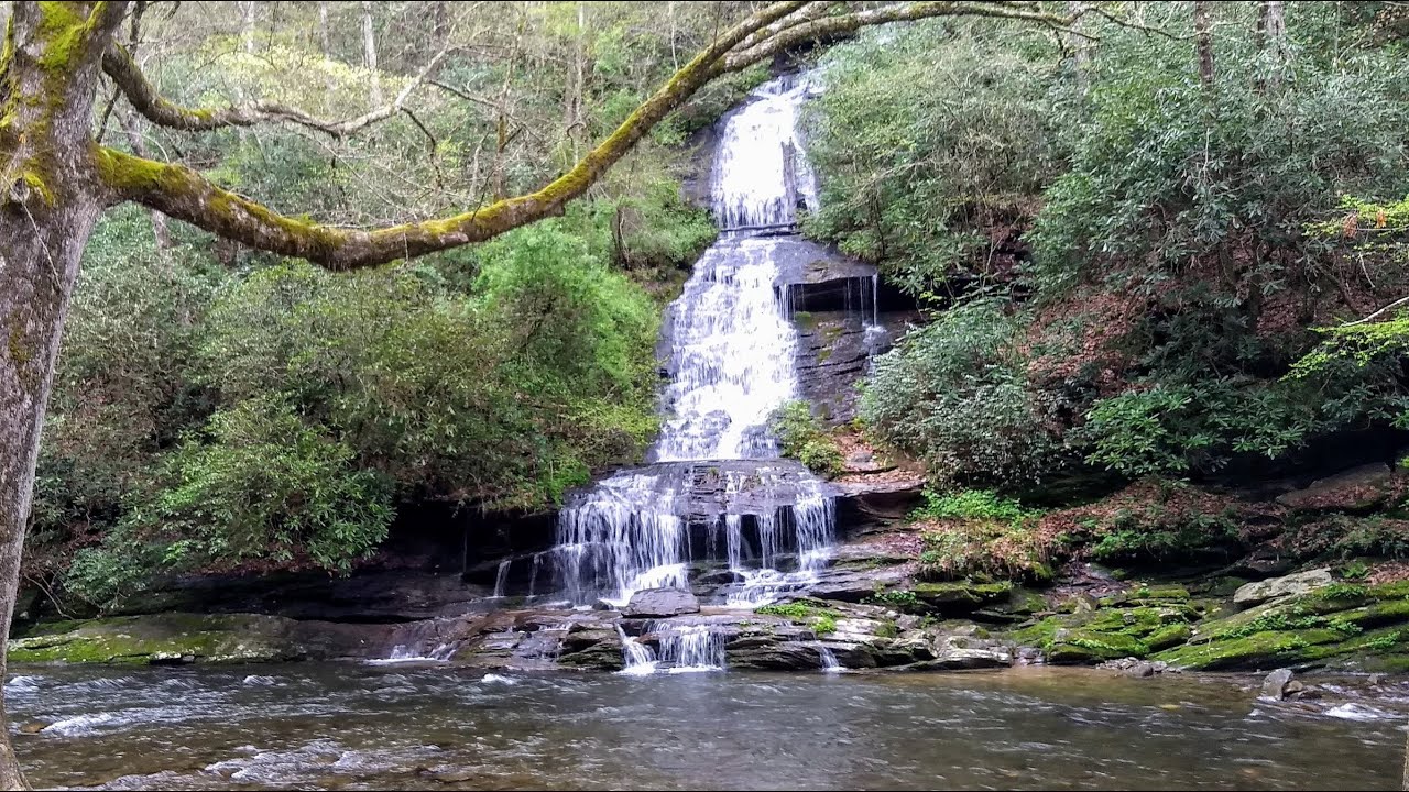Hike in the Great Smoky Mountains National Park, NC: Deep Creek Trail
