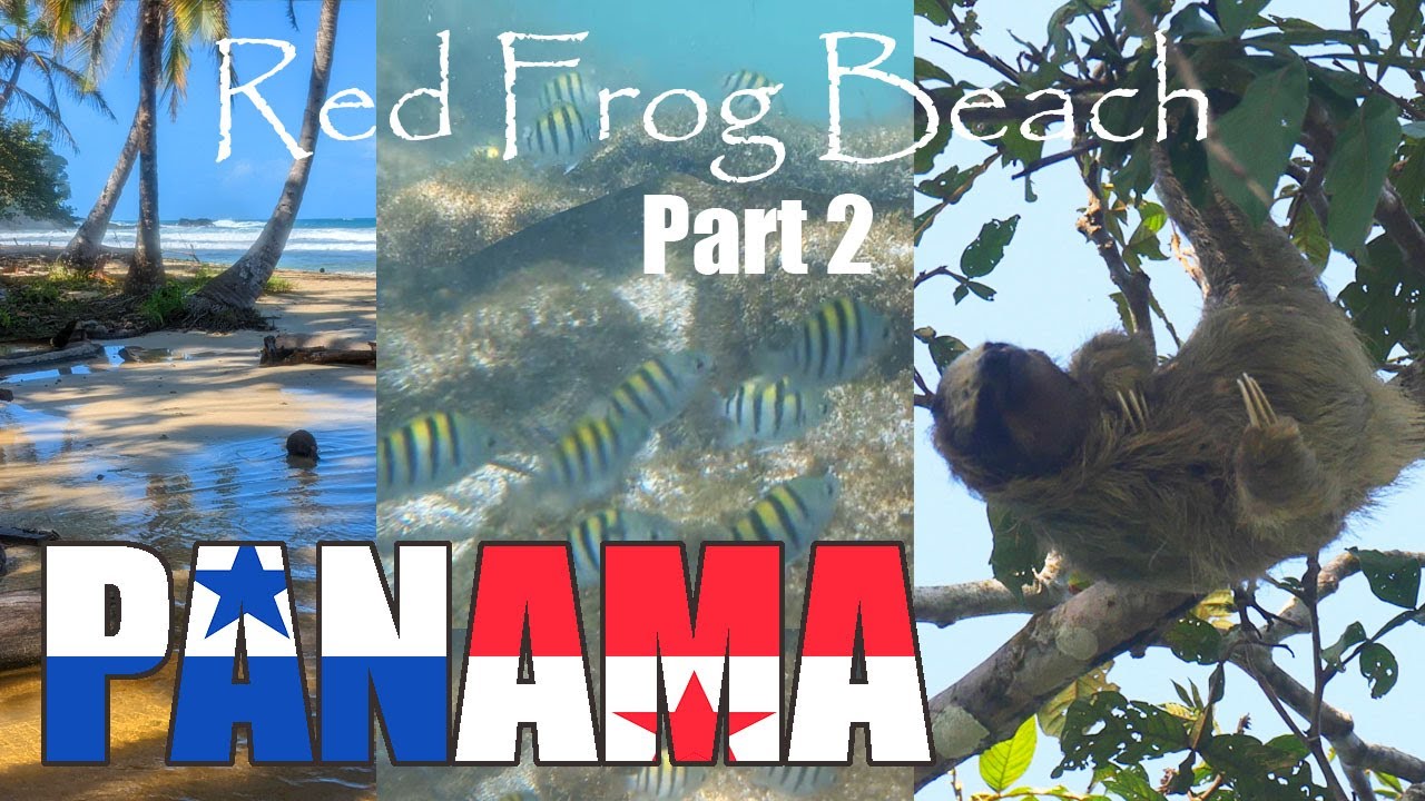 2023 PANAMA  Red Frog Beach Part 2