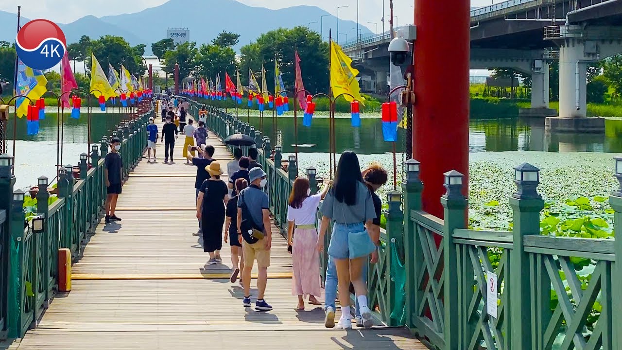 [4K] Nearby Seoul - SEMIWON Lotus Festival, Upper HAN River. Walking the Garden of Water and Flowers
