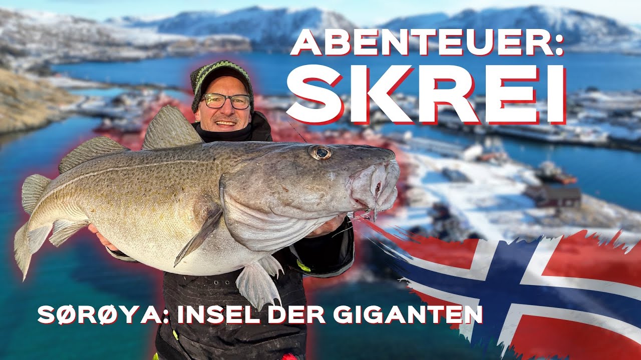 Angeln in Norwegen | Meeresangeln auf Skrei in Sørvær - Epische Angelreise auf Sørøya