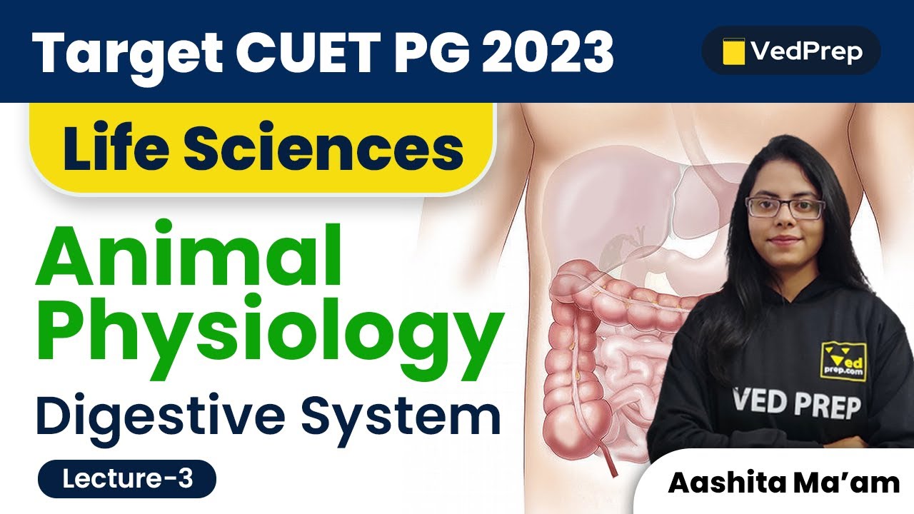Digestive System | Animal Physiology | CUET PG 2023 Life Sciences | VedPrep Biology Academy