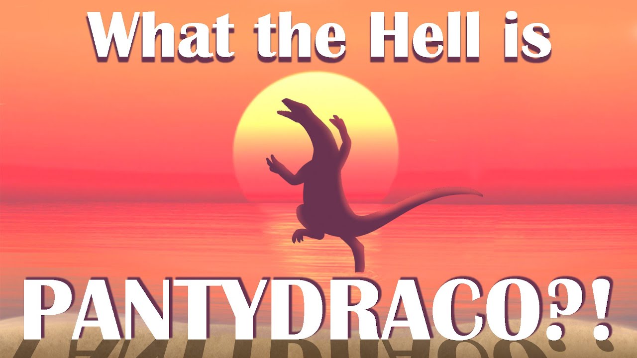 What the Hell is Pantydraco?!
