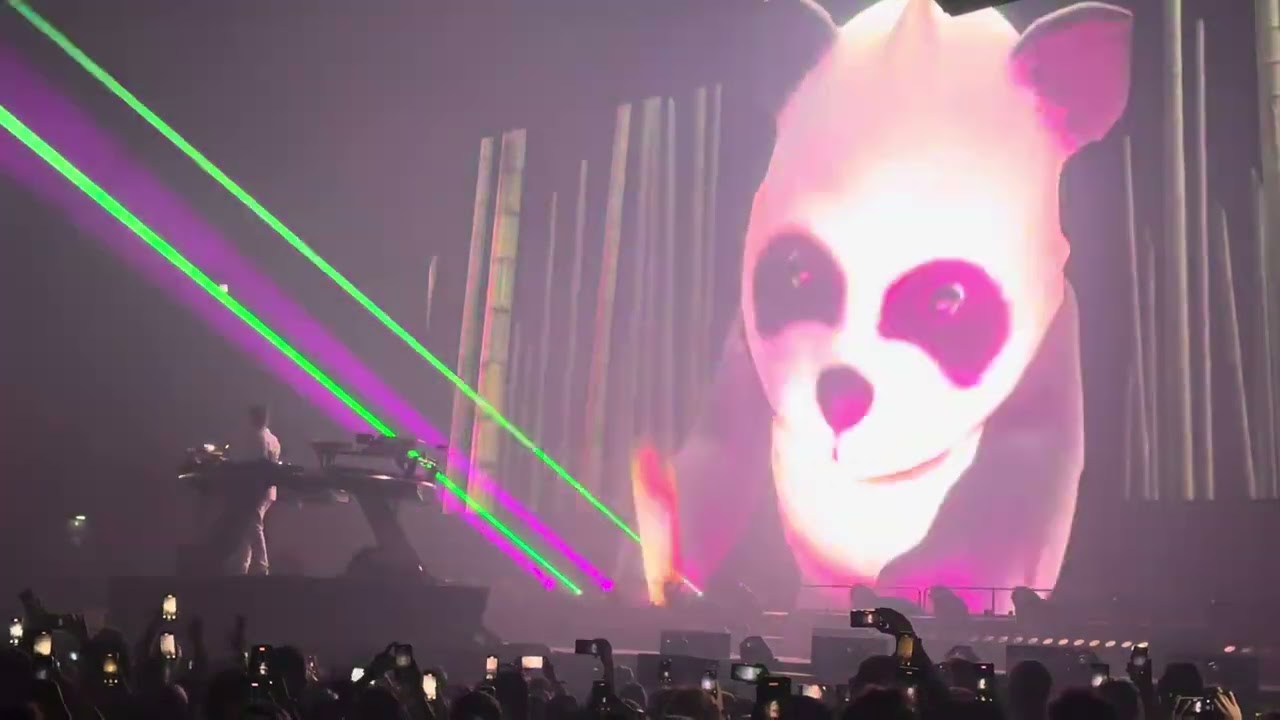 Kygo-Sexual healing•Brussels Tour 2024