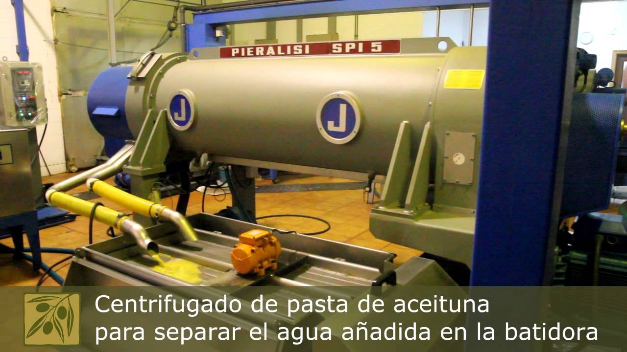 Proceso de fabricacion del aceite de oliva virgen extra