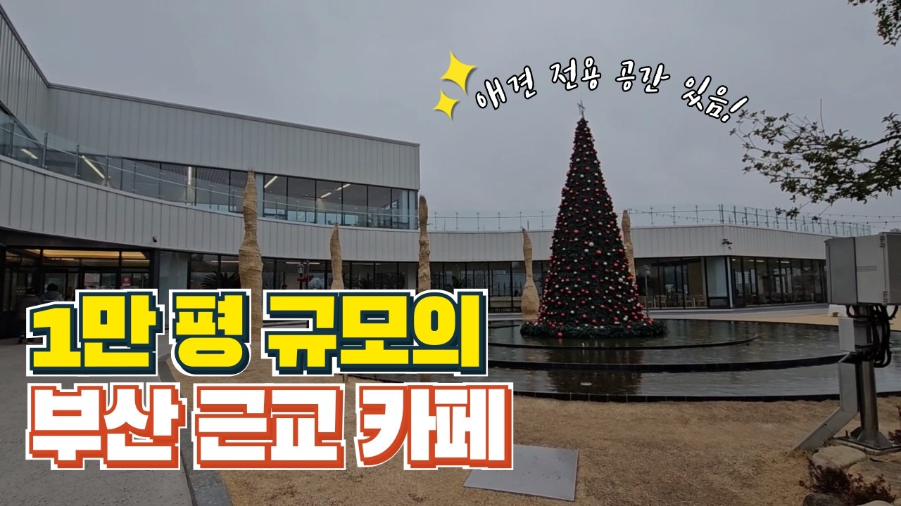 만 평 규모의 부산근교카페 ｜양산카페