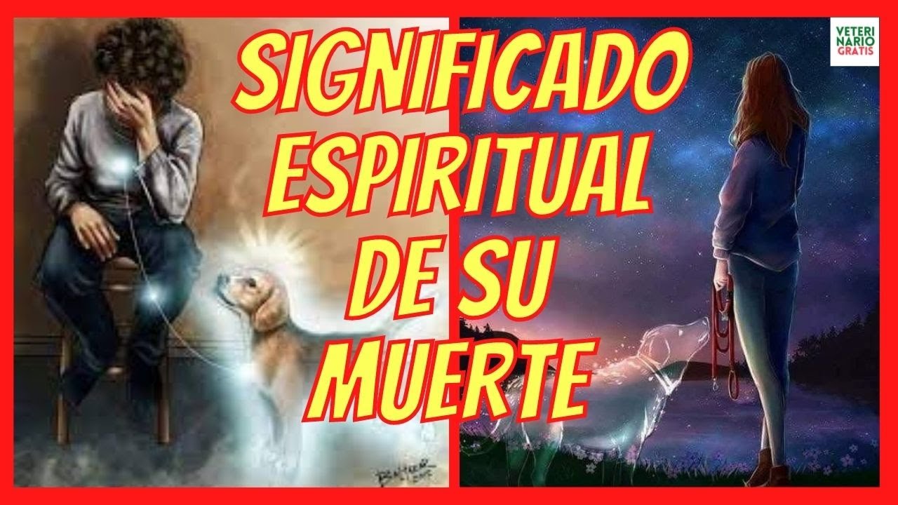 MUERTE DE UN PERRO 💔 SIGNIFICADO ESPIRITUAL 💔 CÓMO SUPERAR LA MUERTE DE UN PERRO? FASES DEL DUELO