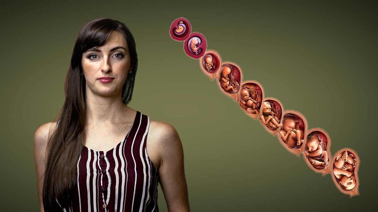 Late-Term Abortion Facts and Falsehoods