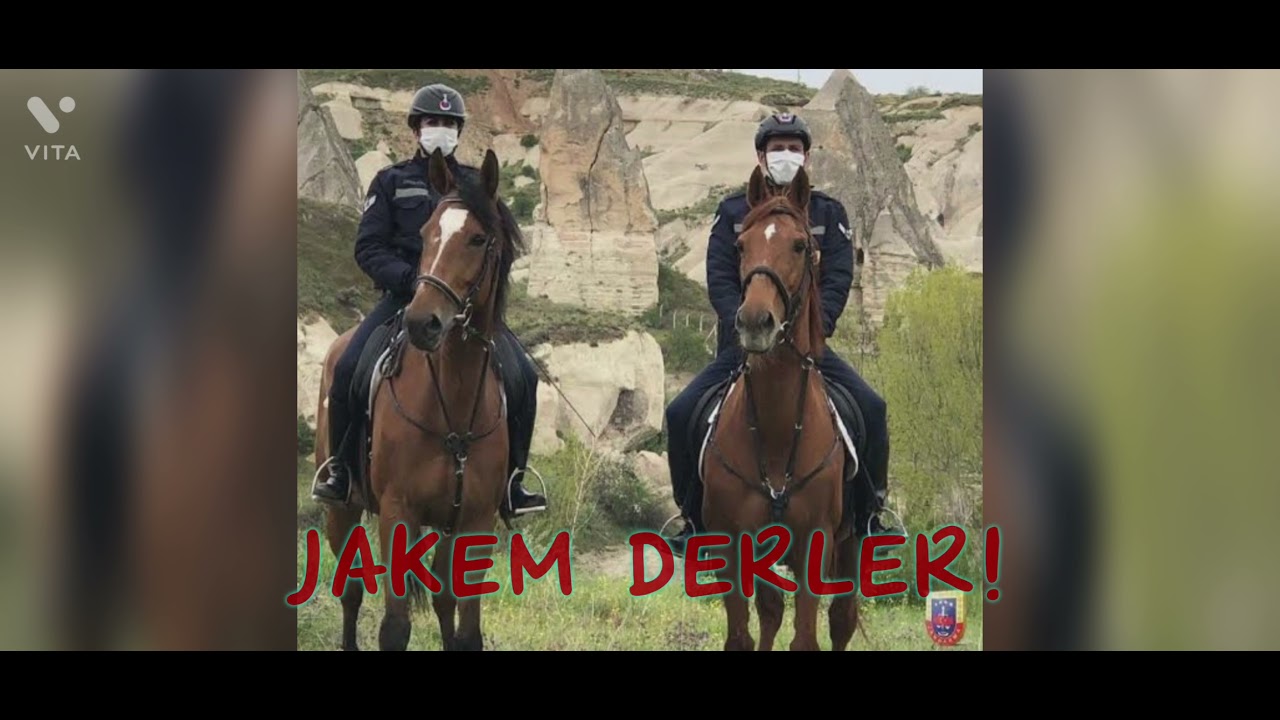 Biz de Varız! S&ouml;z&D&uuml;zenleme&Yorum Şenol KARA